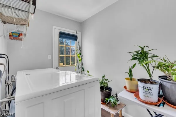 a bath room with a sink and a potted plant