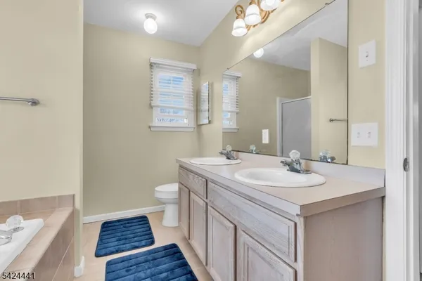 a bathroom with a sink a toilet a mirror and vanity