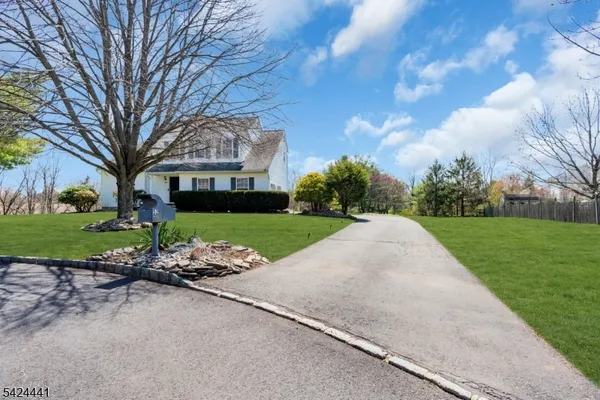 a view of a park with large trees