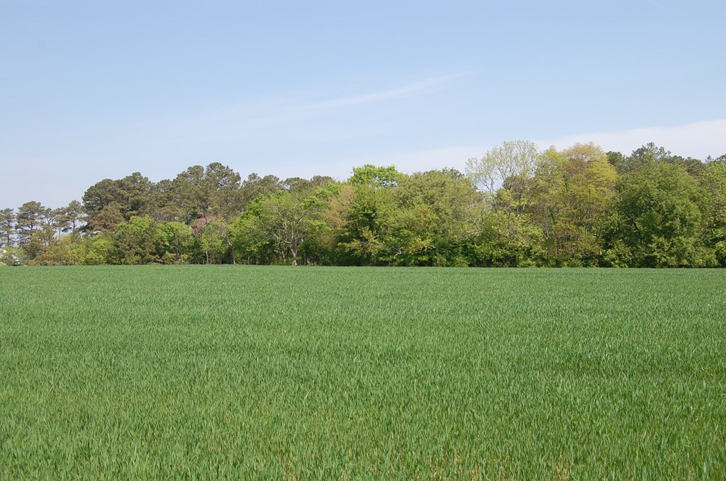 Lot1 Miles Wharf Road, Unit 1 Exmore, VA 23350 - Photo 19 of 33