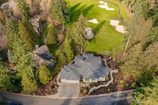 a view of banana tree