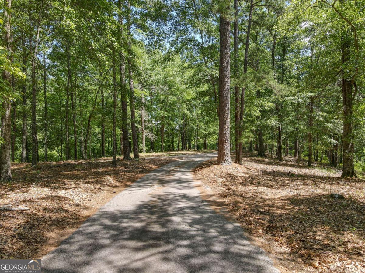4973 Greenville Road LaGrange, GA 30241 - Photo 12 of 108 a view of a yard with large trees