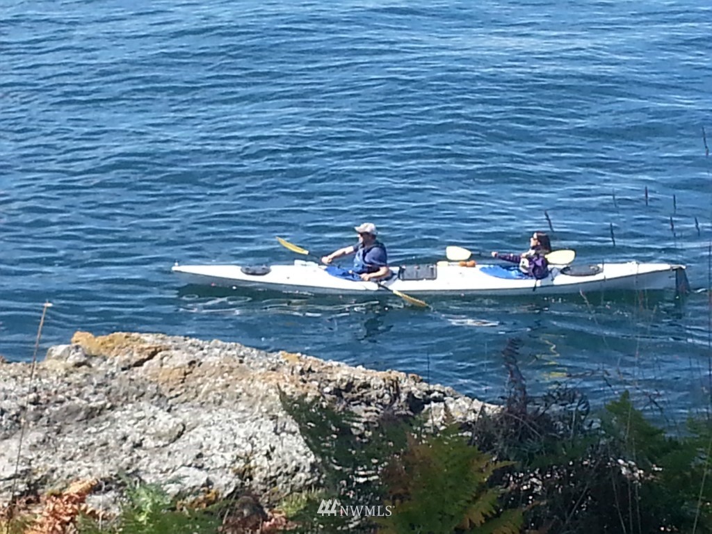 401 Smugglers Cove Road Friday Harbor, WA 98250 - Photo 18 of 19 Gallery Image 18