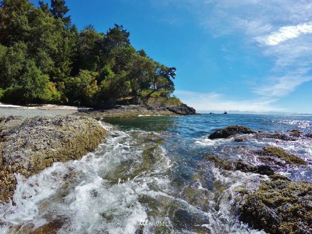 401 Smugglers Cove Road Friday Harbor, WA 98250 - Photo 5 of 19 Gallery Image 5