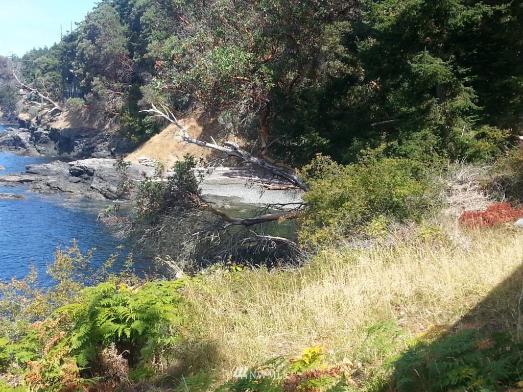 401 Smugglers Cove Road Friday Harbor, WA 98250 - Photo 9 of 19 Gallery Image 9