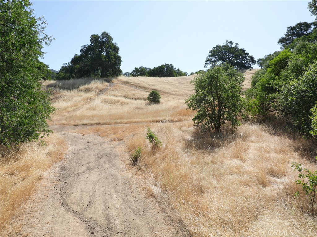 7285 Wilson Street Nice, CA 95464 - Photo 4 of 6 a view of a yard with trees
