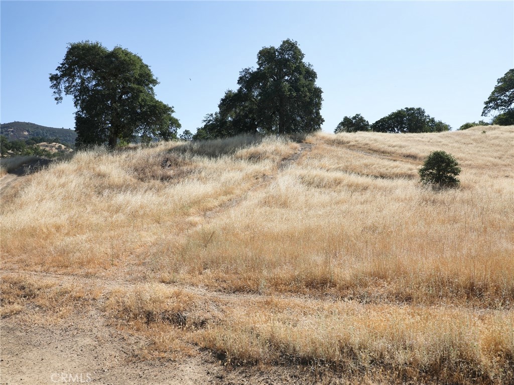 7285 Wilson Street Nice, CA 95464 - Photo 5 of 6 a view of a yard