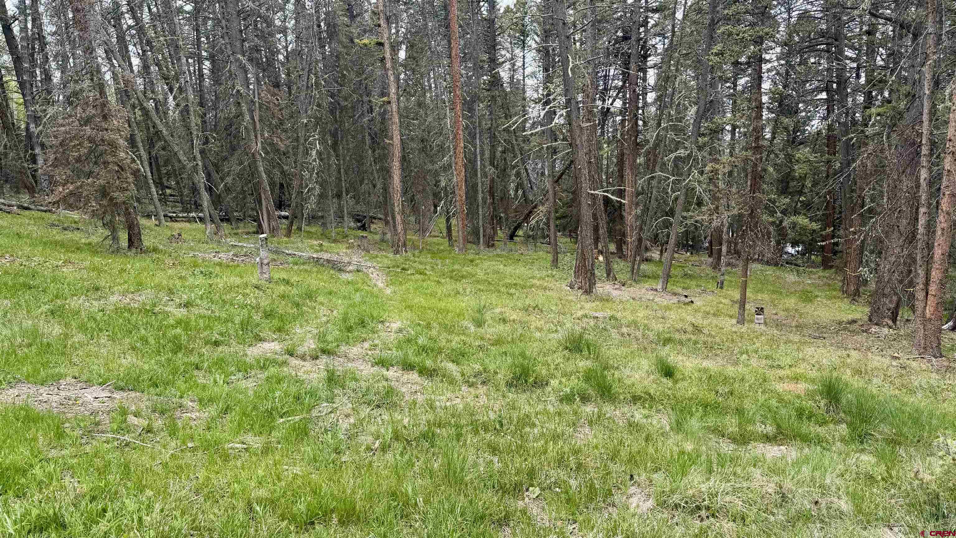 1301 Spruce Road Cimarron, CO 81220 - Photo 1 of 12