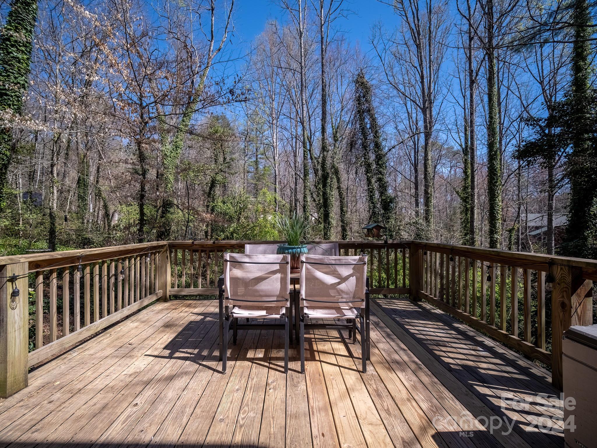 76 Lake Sega Circle Road Brevard, NC 28712 - Photo 24 of 48 Gallery Image 24