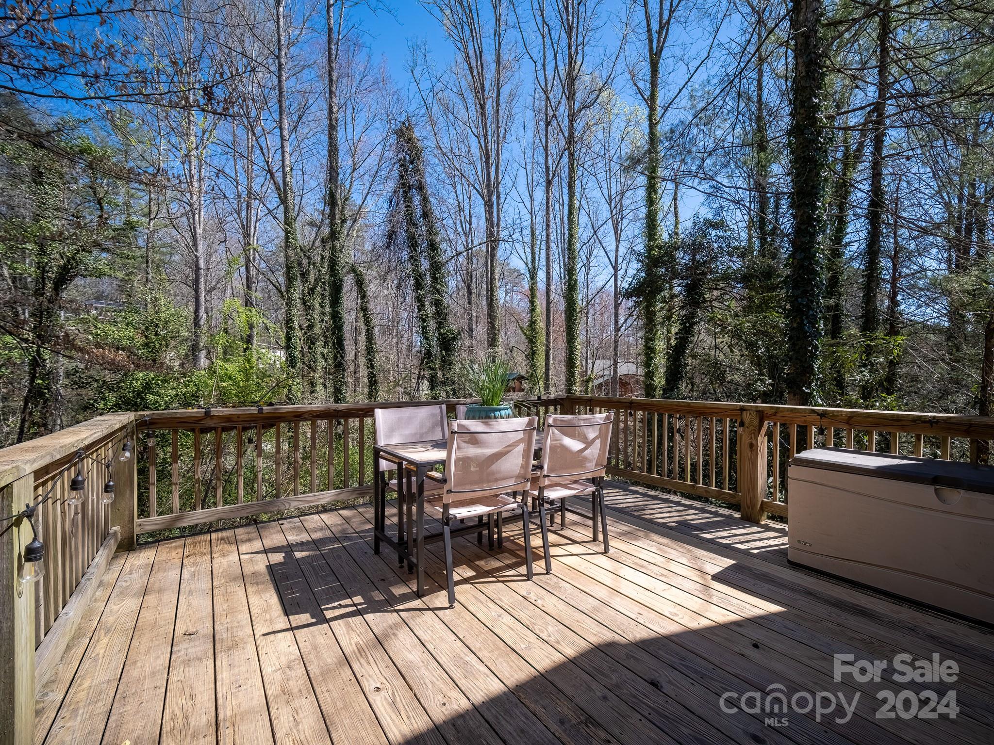 76 Lake Sega Circle Road Brevard, NC 28712 - Photo 26 of 48 Gallery Image 26