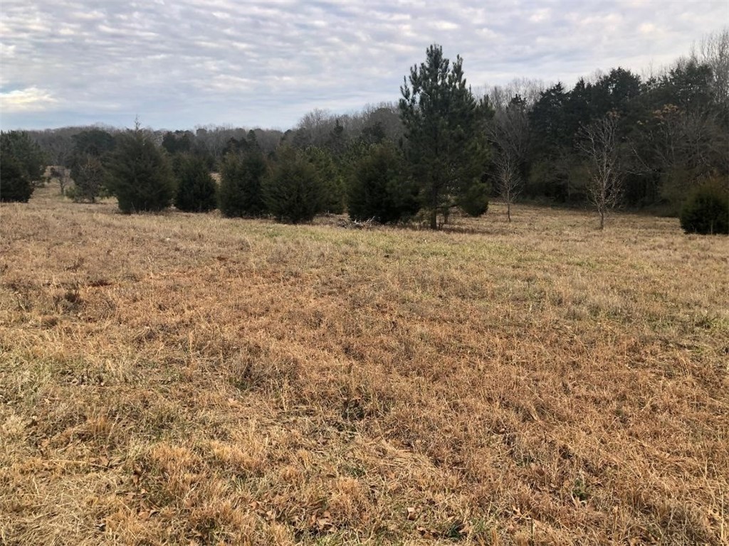 701 Project Road Iva, SC 29655 - Photo 2 of 3