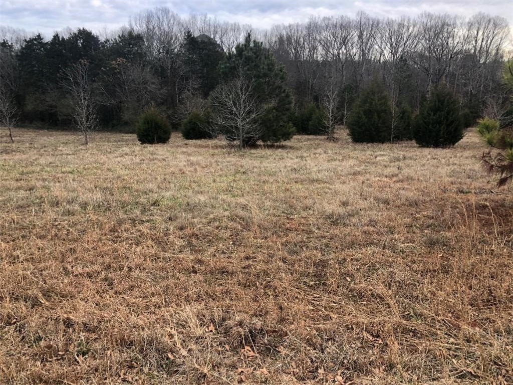 701 Project Road Iva, SC 29655 - Photo 3 of 3