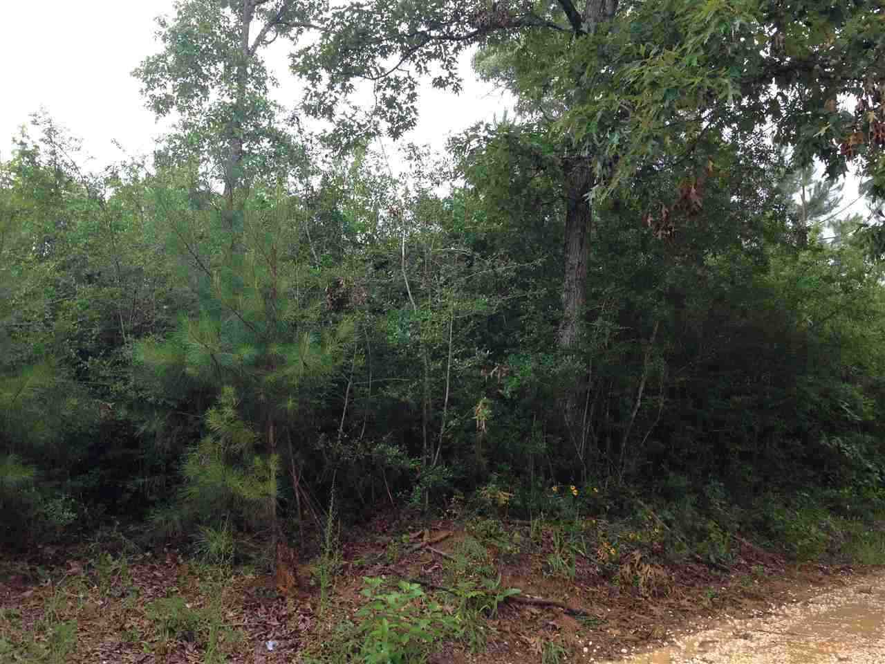 36-37 Matigwa Loop Silsbee, TX 77656 - Photo 1 of 1