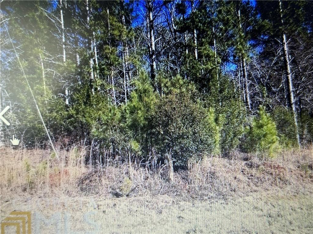 0 Deer Pointe Run LaGrange, GA 30240 - Photo 1 of 3 a view of a forest with large trees