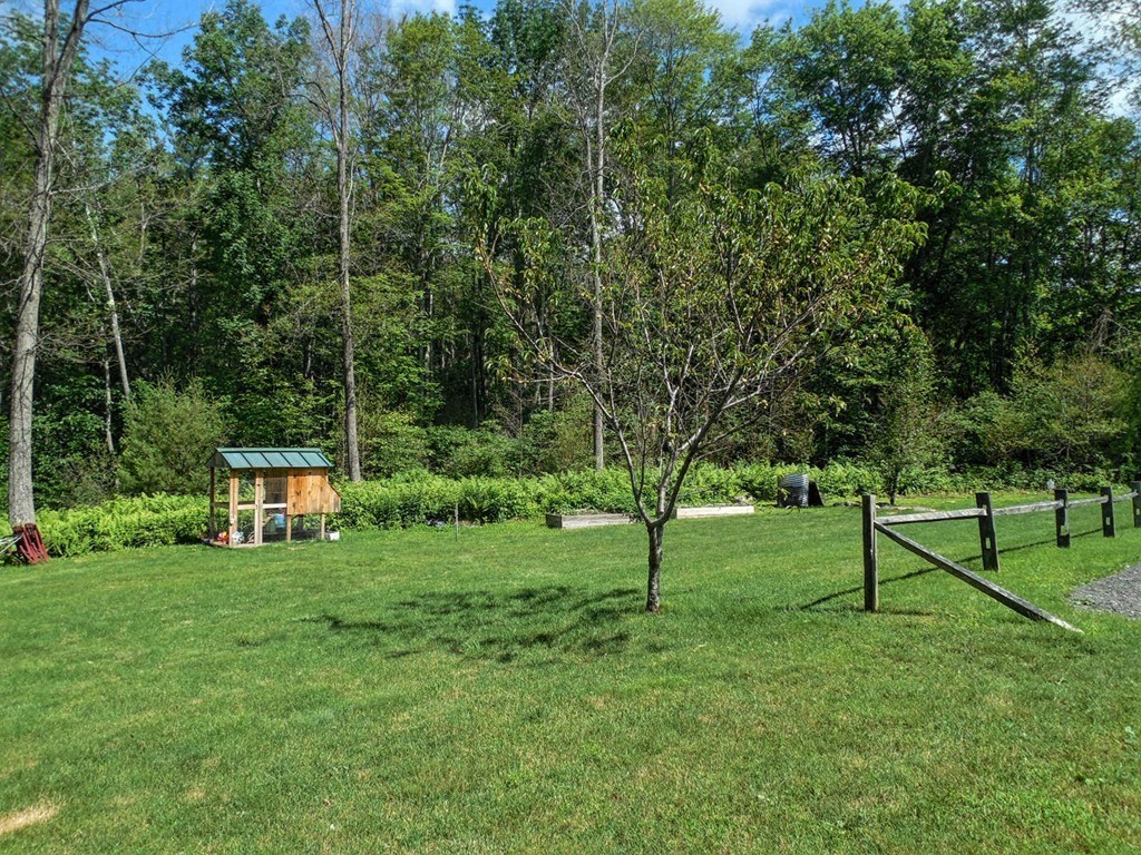 2860 Greenwich Road Hardwick, MA 01082 - Photo 6 of 28 a view of park with trees