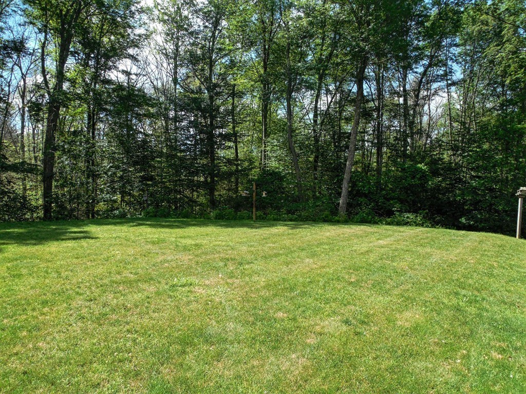 2860 Greenwich Road Hardwick, MA 01082 - Photo 7 of 28 a view of a yard with a trees