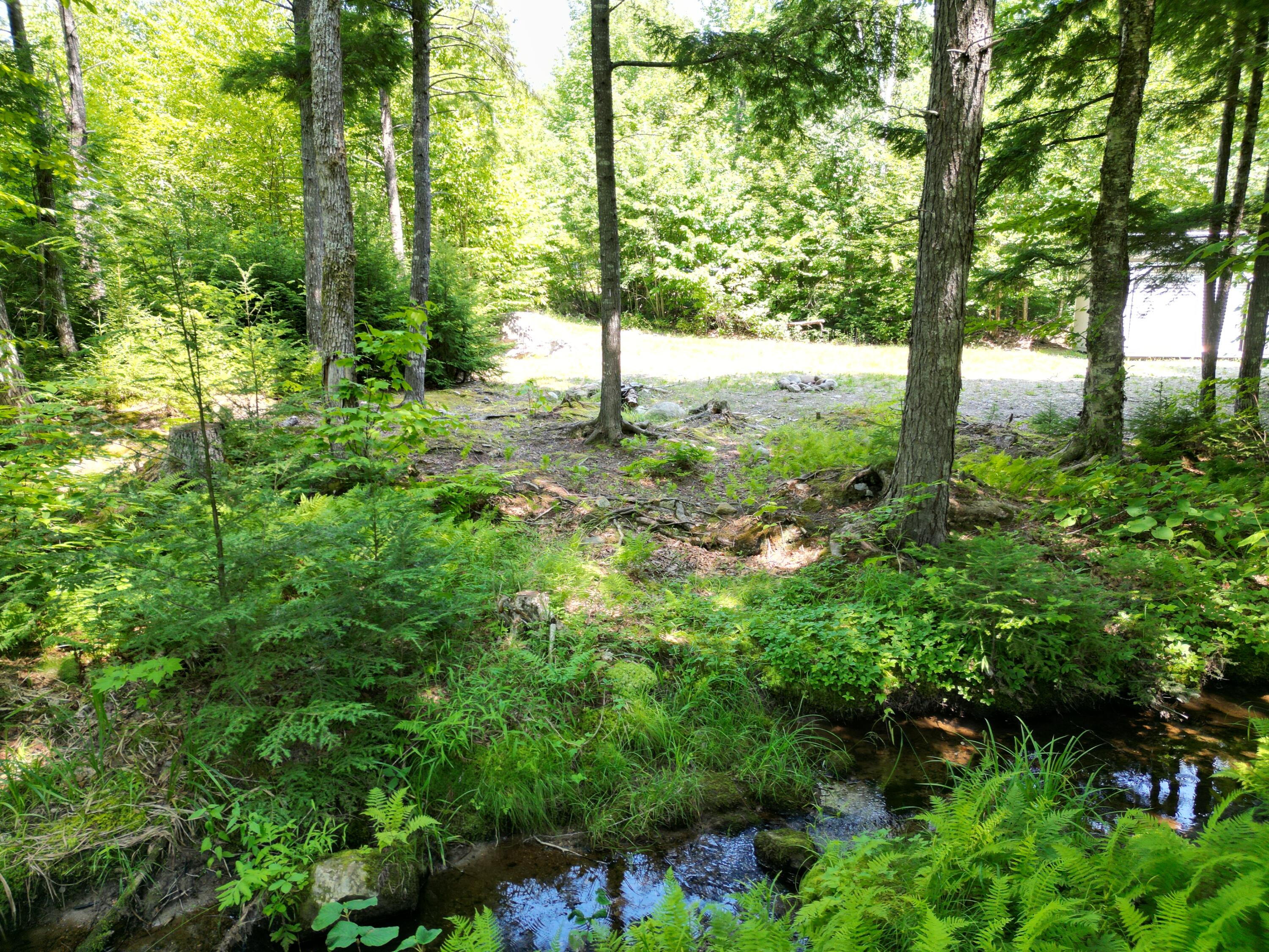 Lot 37 Dipper Pond Road Carroll Plt, ME 04487 - Photo 5 of 19 DJI_0891