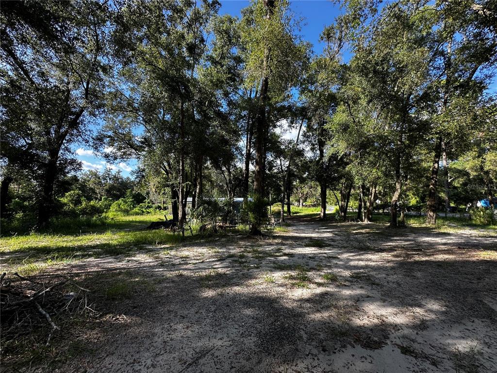 418 North Pine Street Bronson, FL 32621 - Photo 50 of 61 Gallery Image 50
