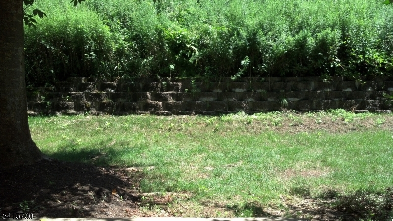13 Wood Duck Pond Road Bedminster, NJ 07921 - Photo 12 of 13 a view of yard with green space