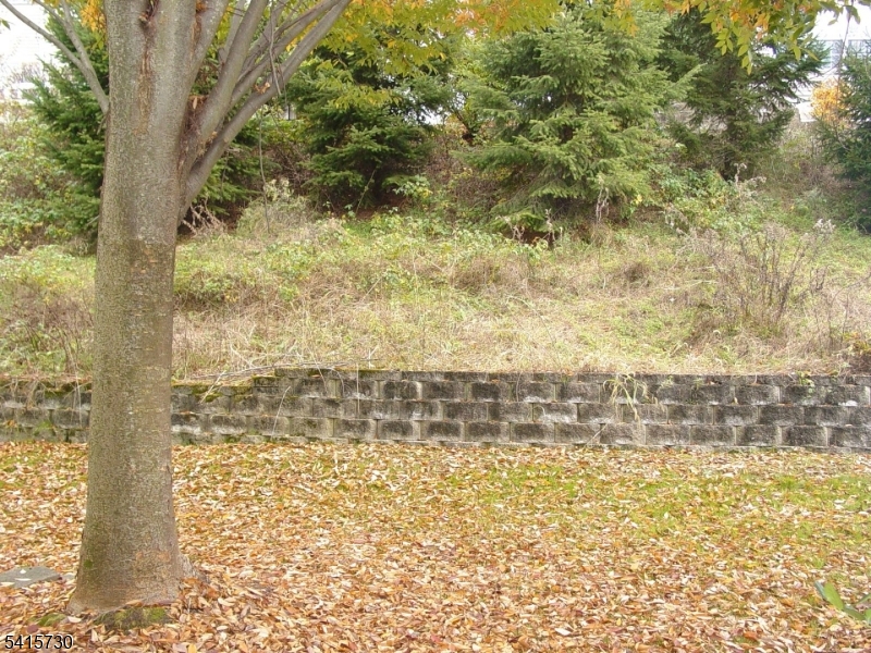 13 Wood Duck Pond Road Bedminster, NJ 07921 - Photo 13 of 13