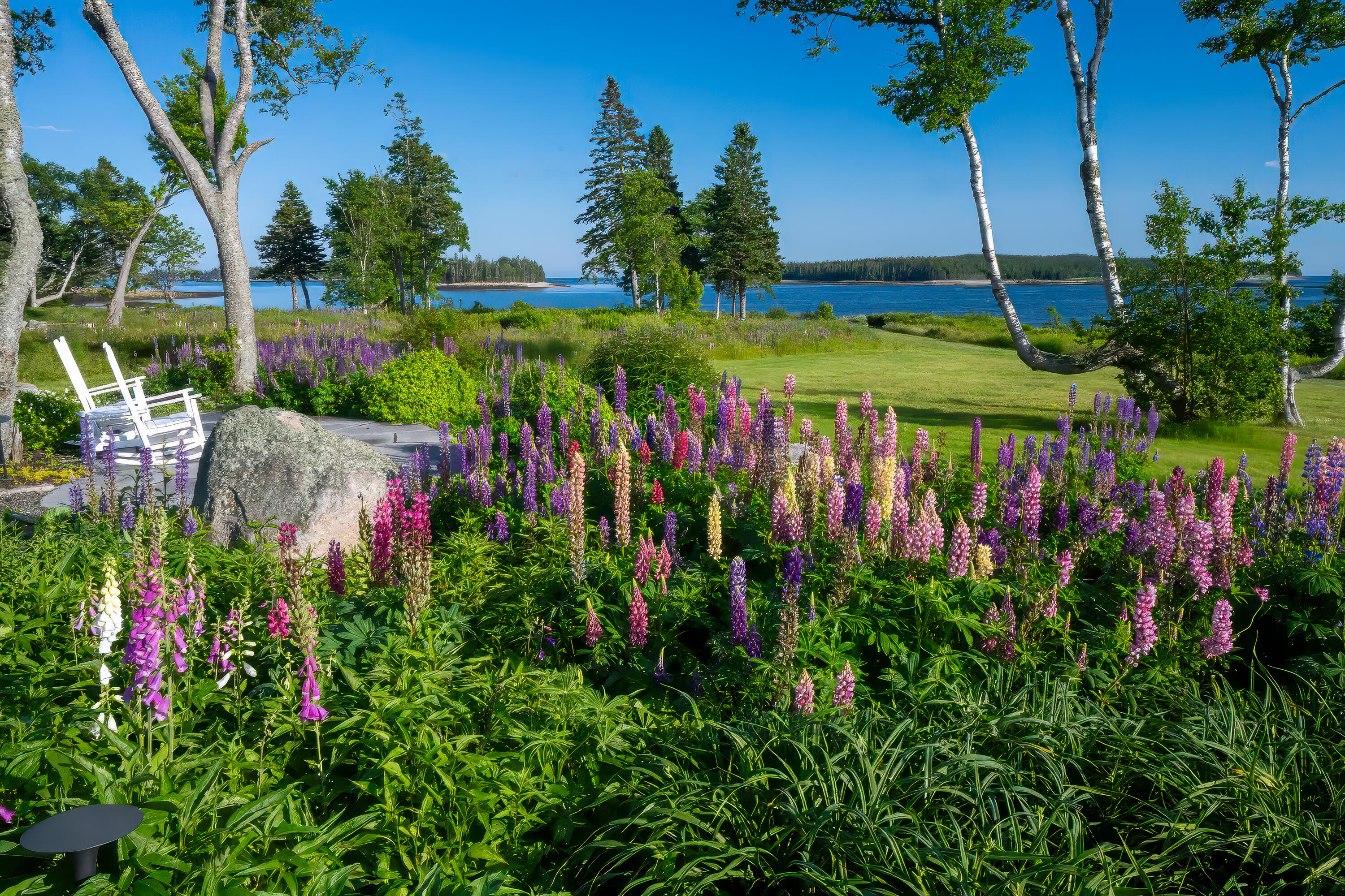 708 Tom Leighton Point Road Milbridge, ME 04658 - Photo 30 of 55 03-708 Tom Leight Road 2-DTP