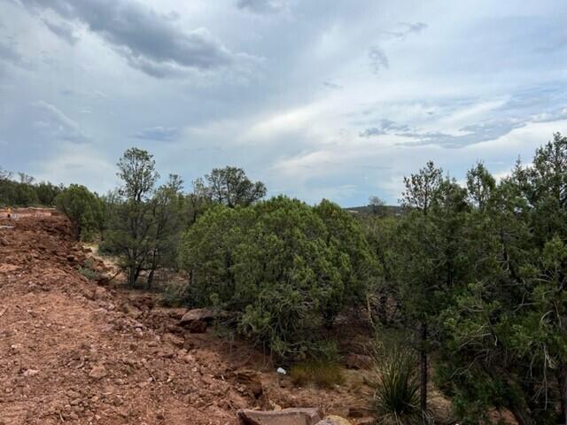 507 North Peak Loop Payson, AZ 85541 - Photo 3 of 4