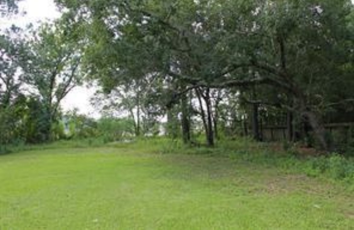 3318 Massey Tompkins Road Baytown, TX 77521 - Photo 3 of 7 a big yard with lots of green space and trees
