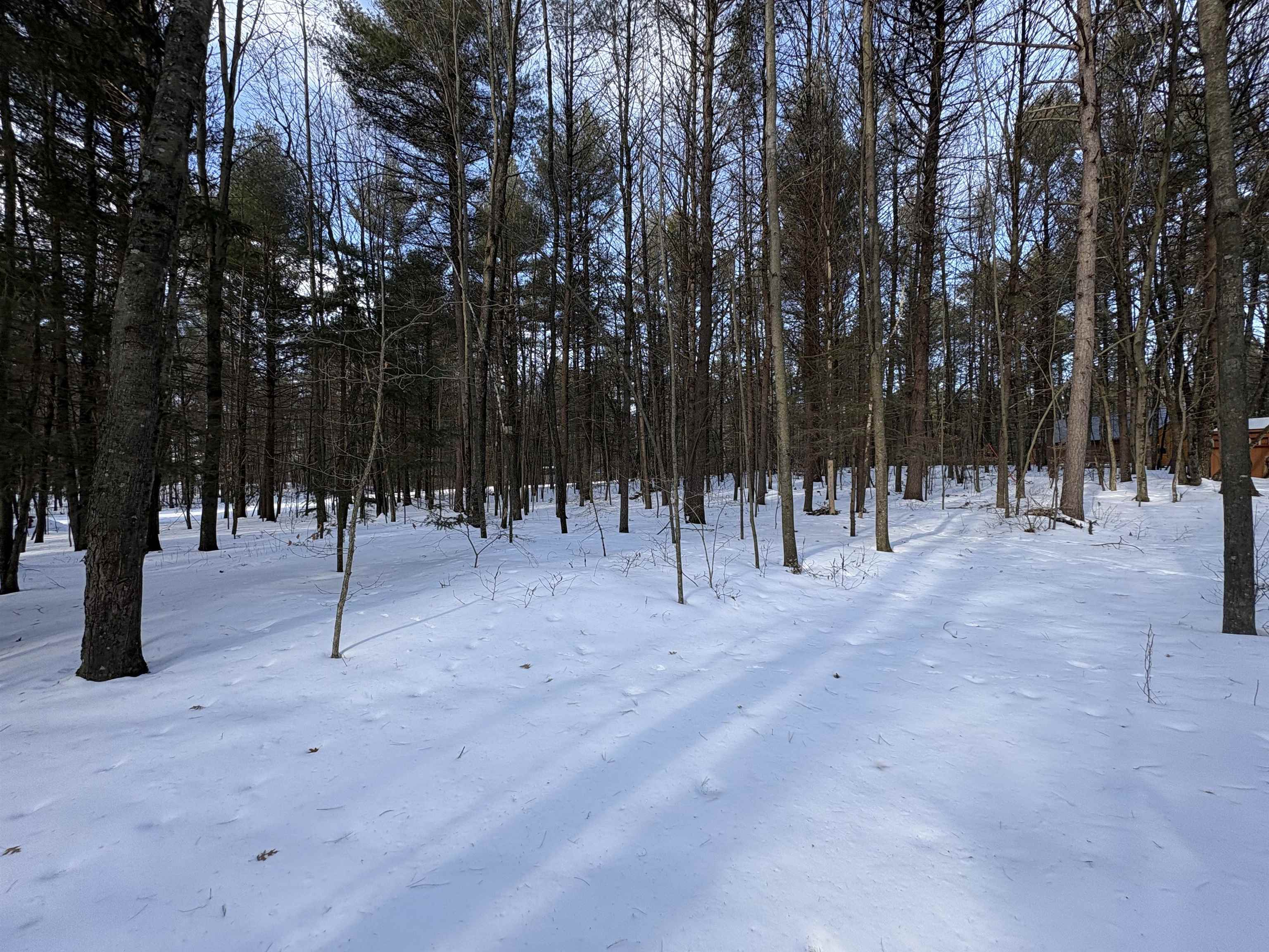 N1618 Sundance Trail Keshena, WI 54135 - Photo 26 of 73