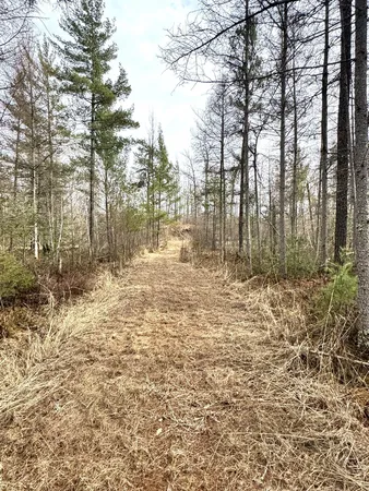 $679,900 | 24996 Horseshoe Road, Akeley, MN 56433