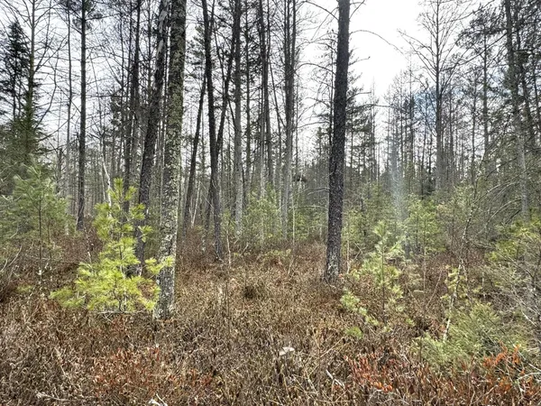 $679,900 | 24996 Horseshoe Road, Akeley, MN 56433