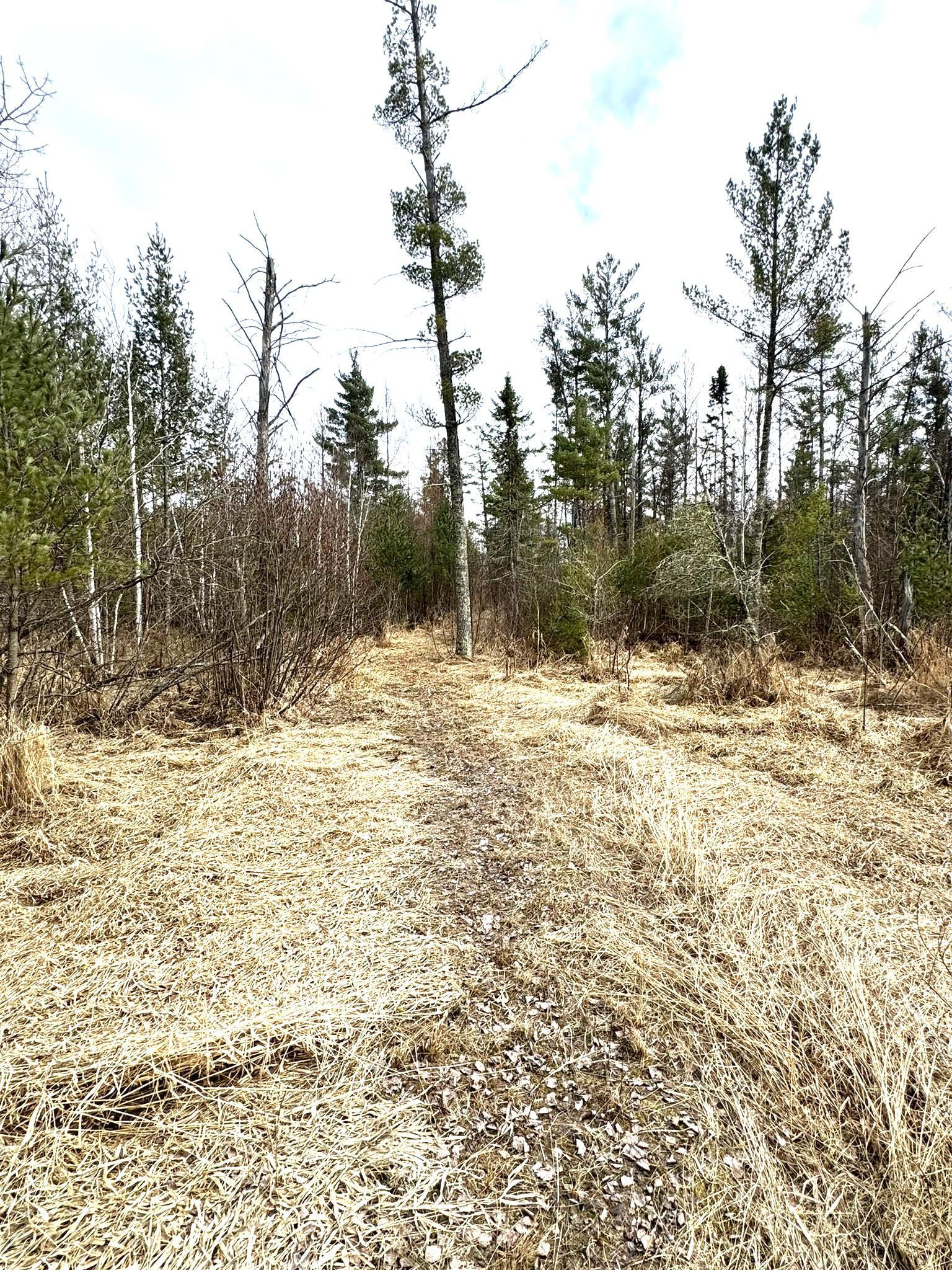 24996 Horseshoe Road Akeley, MN 56433 - Photo 60 of 71