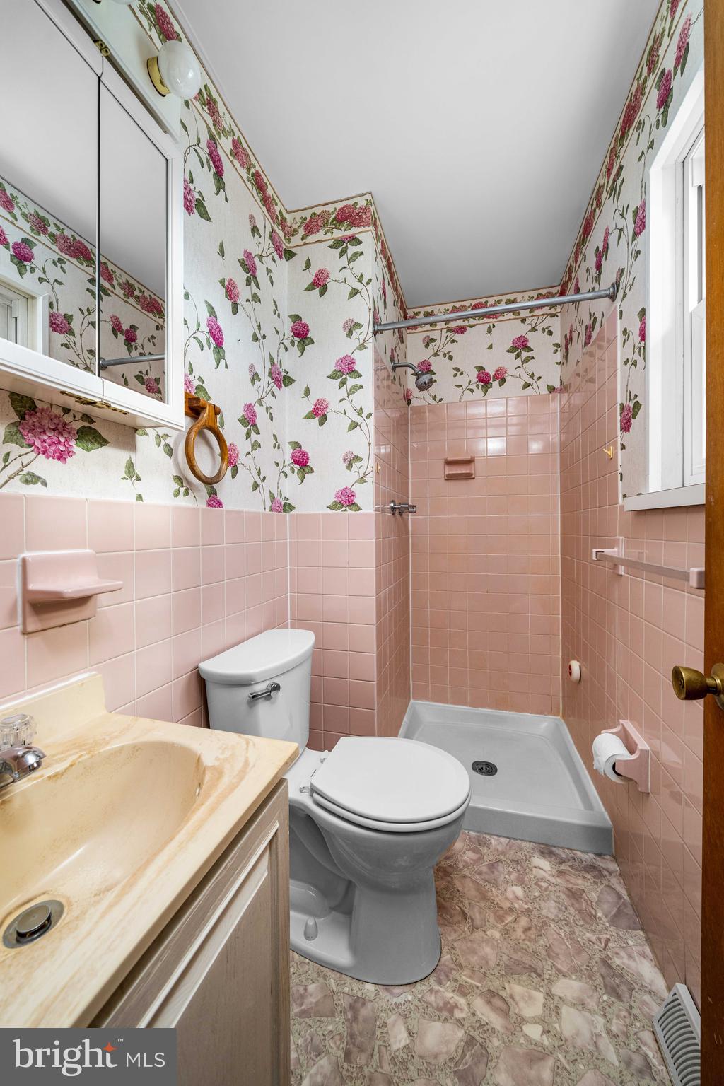 8 Deep Branch Drive Townsend, DE 19734 - Photo 15 of 42 a bathroom with a sink toilet and shower