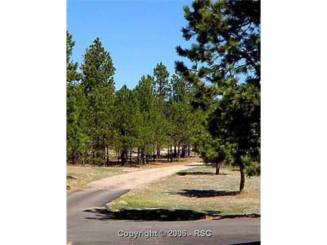 8175 Burgess Road Colorado Springs, CO 80908 - Photo 14 of 16 Gallery Image 14