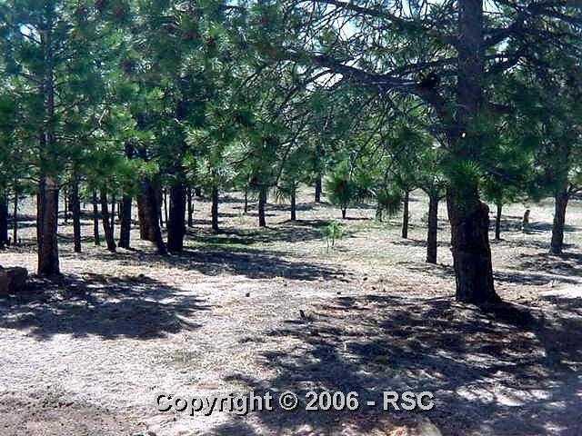 8175 Burgess Road Colorado Springs, CO 80908 - Photo 16 of 16 Gallery Image 16