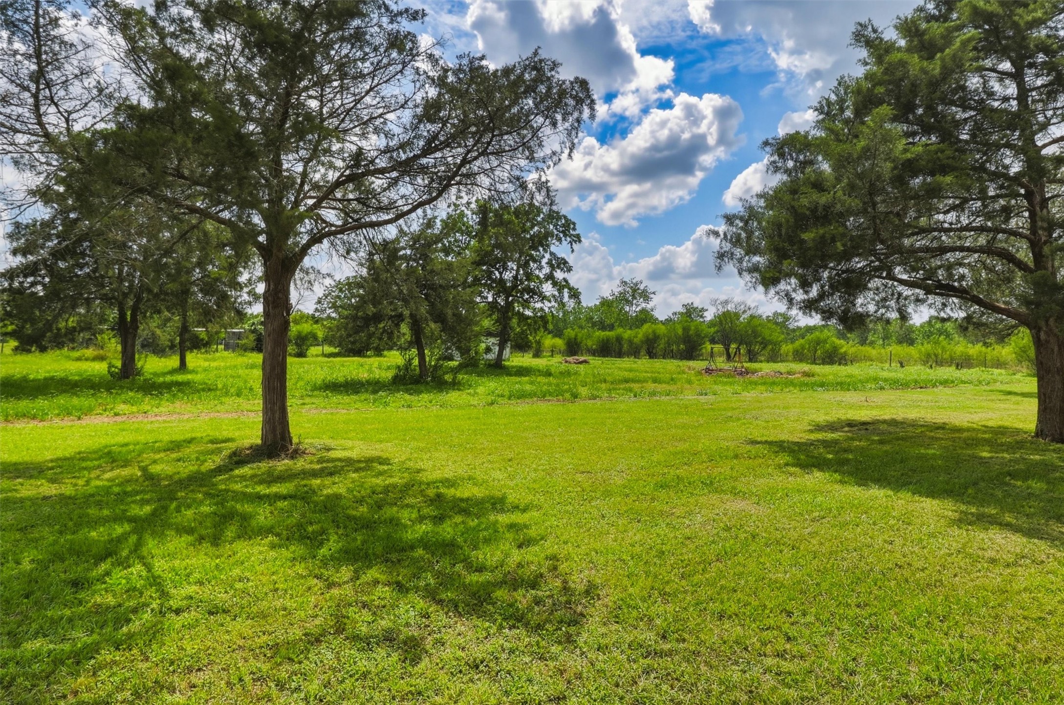 2325 Skrivanek Road Sealy, TX 77474 - Photo 30 of 36 a big yard with lots of green space and palm tree