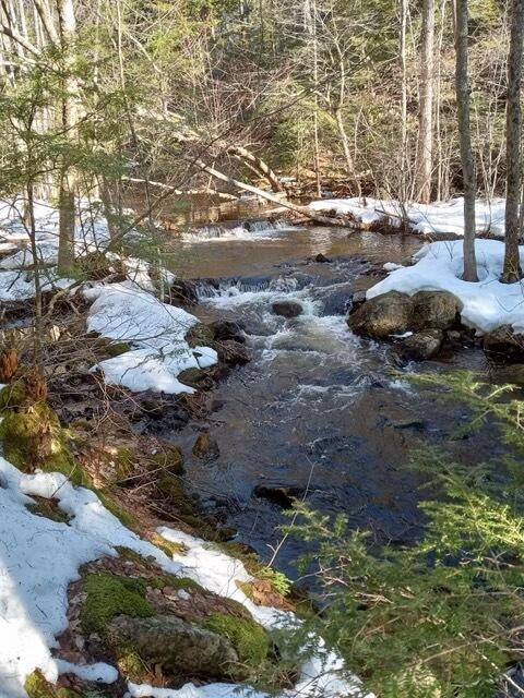 65 Deer Run Drive Cumberland Center, ME 04021 - Photo 52 of 55 IMG_8136