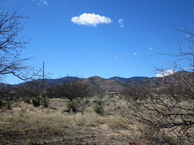 2.18-ac North Desert Road, Unit 1&2 Pearce, AZ 85625 - Photo 10 of 17