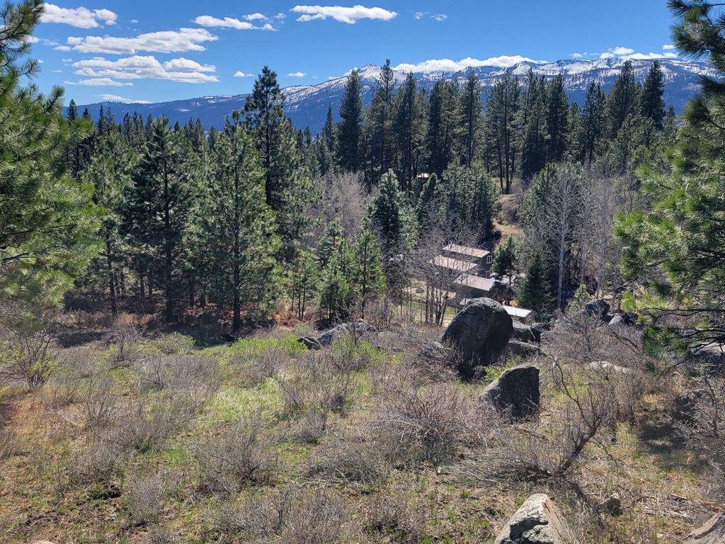 Tbd Tbd Point Lane Cascade, ID 83611 - Photo 11 of 13 Great place to hike!