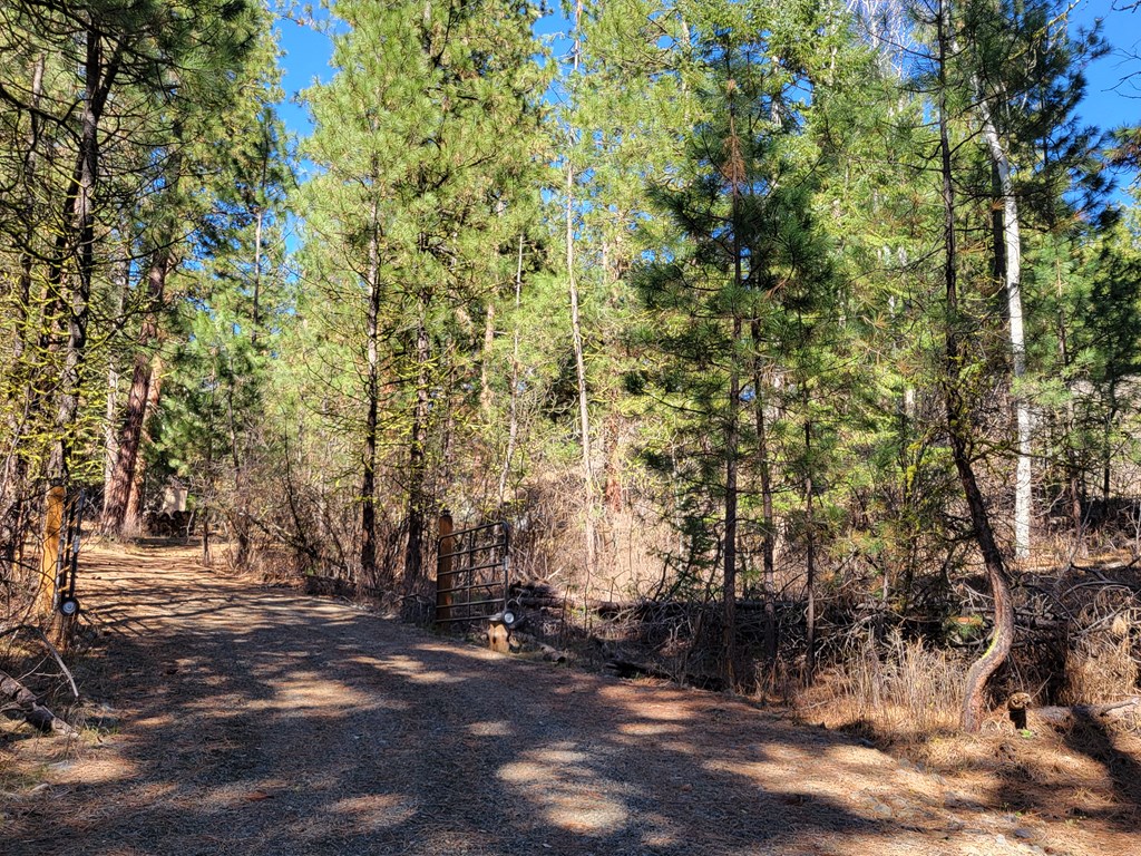 Tbd Tbd Point Lane Cascade, ID 83611 - Photo 2 of 13 Gate to your happiness