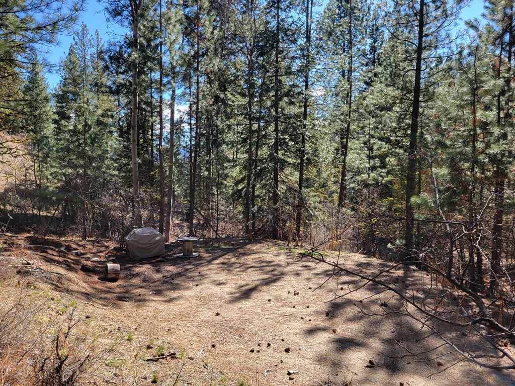 Tbd Tbd Point Lane Cascade, ID 83611 - Photo 3 of 13 Level area for your RV