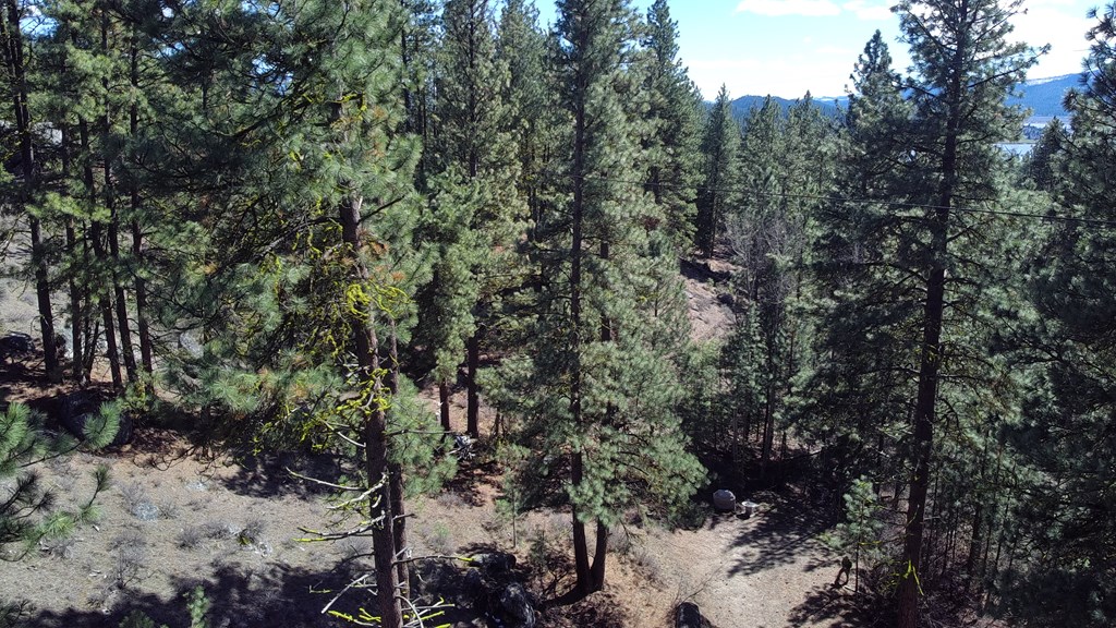 Tbd Tbd Point Lane Cascade, ID 83611 - Photo 5 of 13 Point Rd on the left in this photo