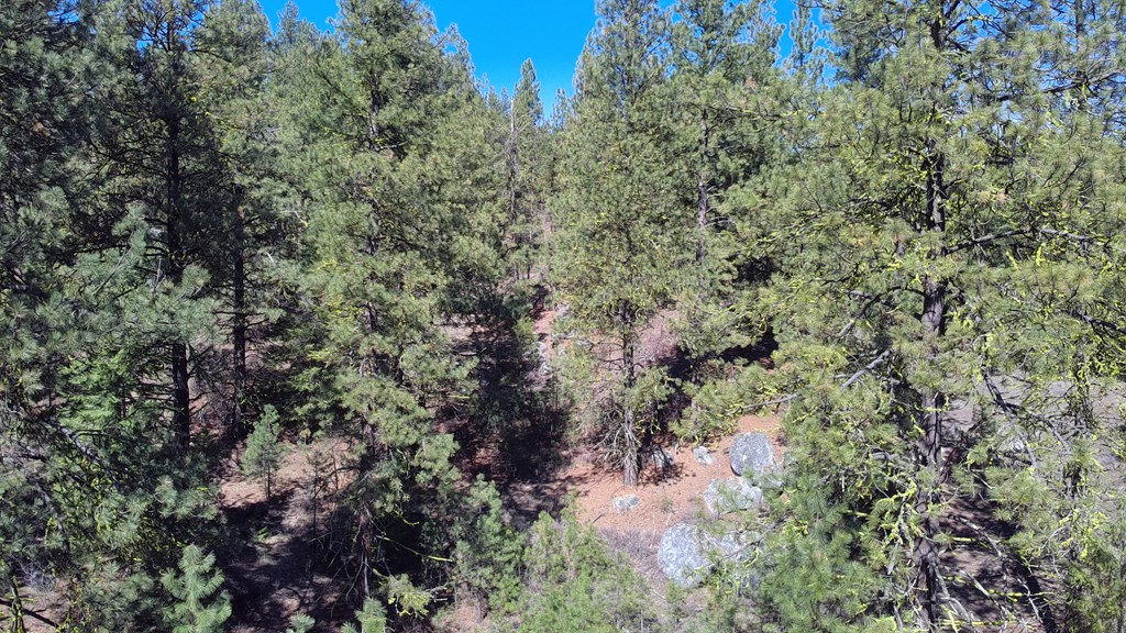 Tbd Tbd Point Lane Cascade, ID 83611 - Photo 6 of 13 Adjacent to public lands