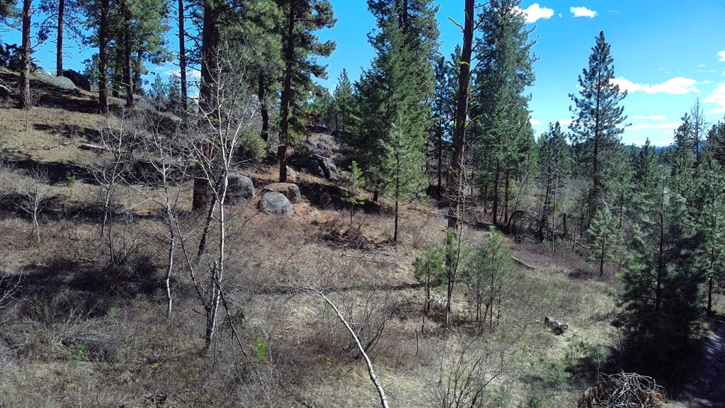 Tbd Tbd Point Lane Cascade, ID 83611 - Photo 8 of 13 Septic approved