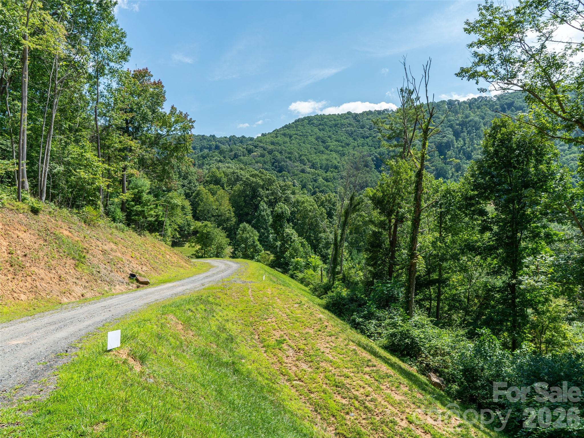 0 Locust Rough Mountain Road, Unit LOT 6 Burnsville, NC 28714 - Photo 18 of 26