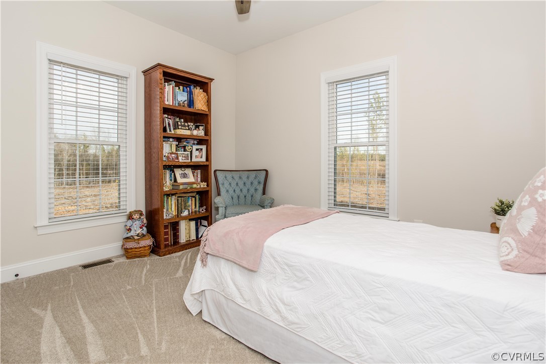 13790 Glebe Road Dewitt, VA 23840 - Photo 18 of 39 a bedroom with a bed a dresser and a window