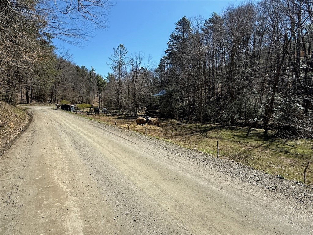2291 Pine Swamp Road Fleetwood, NC 28626 - Photo 37 of 37