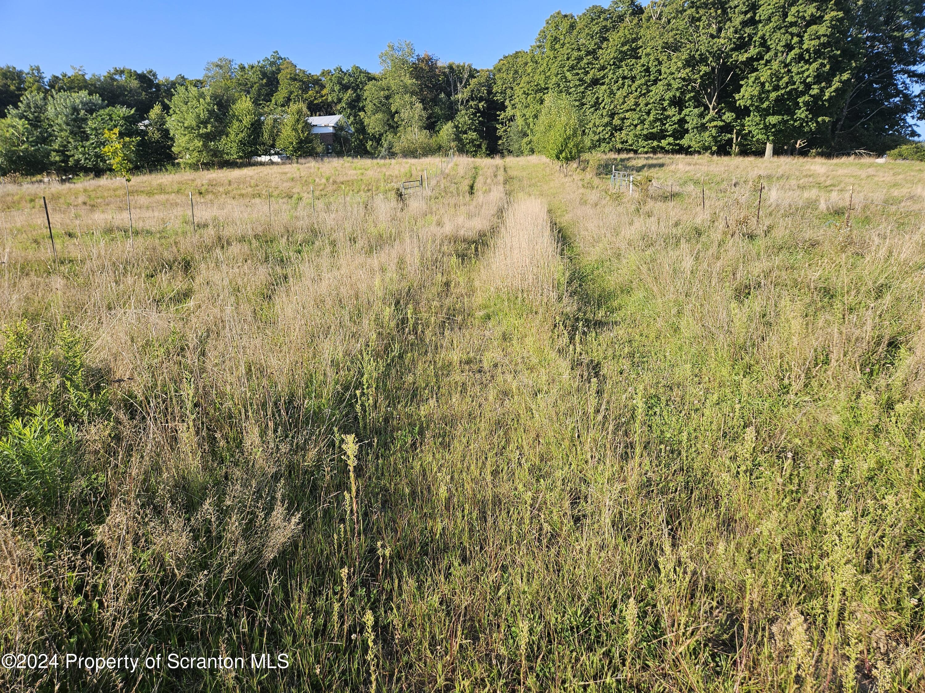 260 Colvin Road Dalton, PA 18414 - Photo 2 of 21 Gallery Image 2