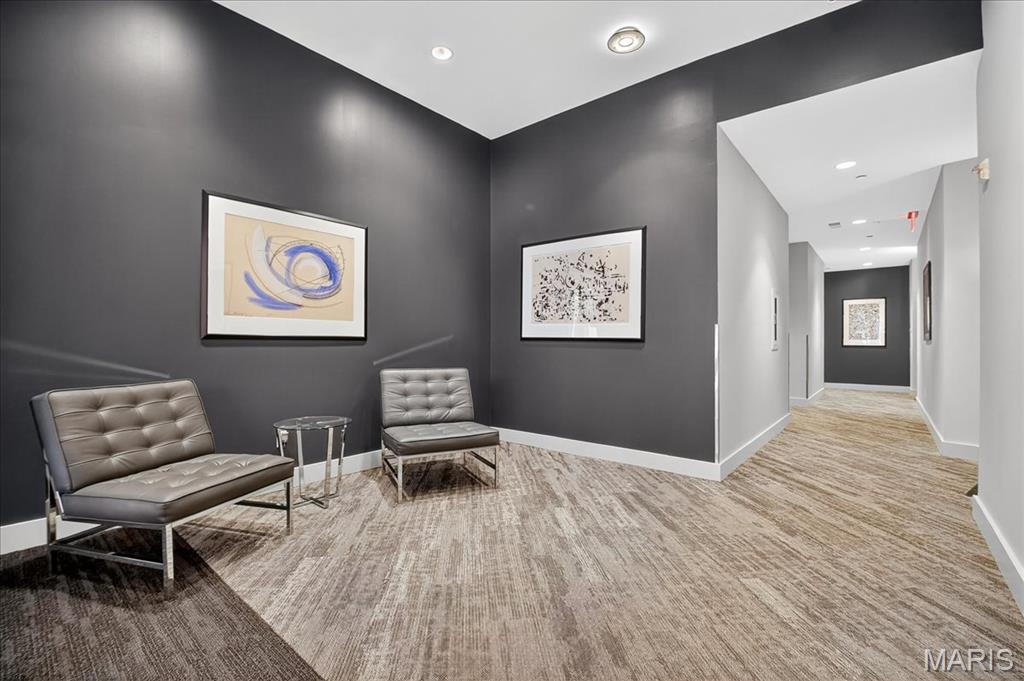 6340 Clayton Road, Unit 302 Richmond Heights, MO 63117 - Photo 36 of 44