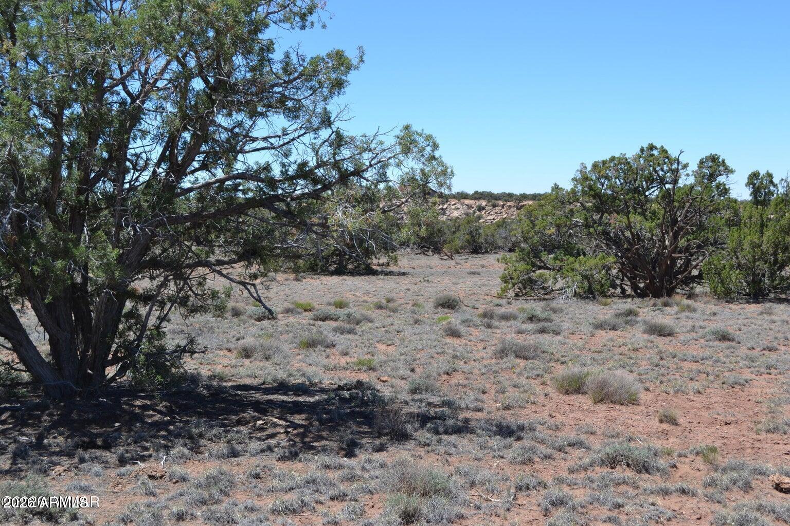 N8604 N8604, Unit 1 Concho, AZ 85924 - Photo 8 of 8 8