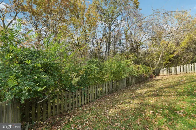 a view of a yard with plants and large trees
